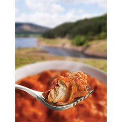Wayfayrer Chicken Tikka & Rice Quick Heat D of E Recommended Food-Food-Outback Trading
